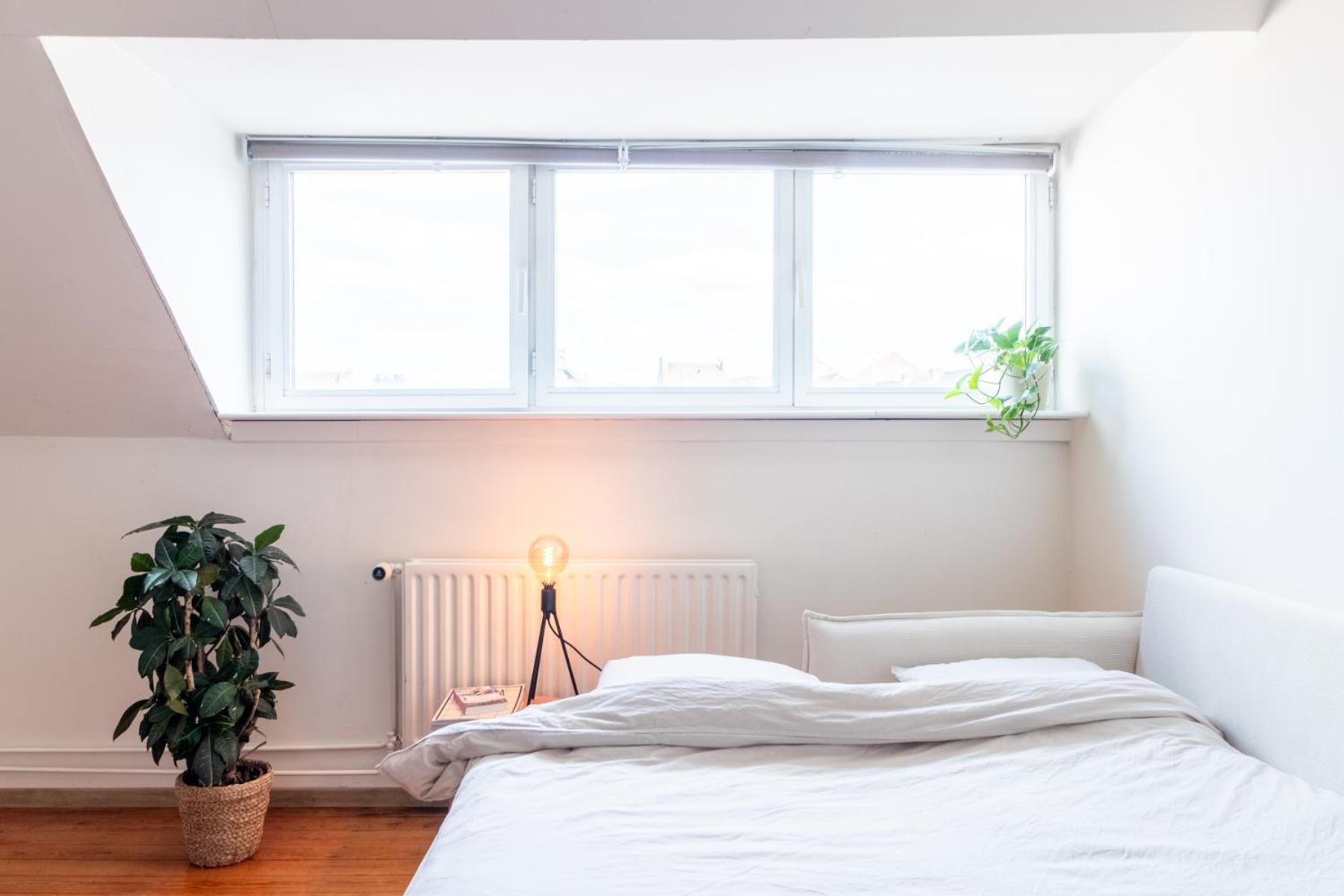 Guesthouse Private Studio Nearby Old Town Гент Екстериор снимка